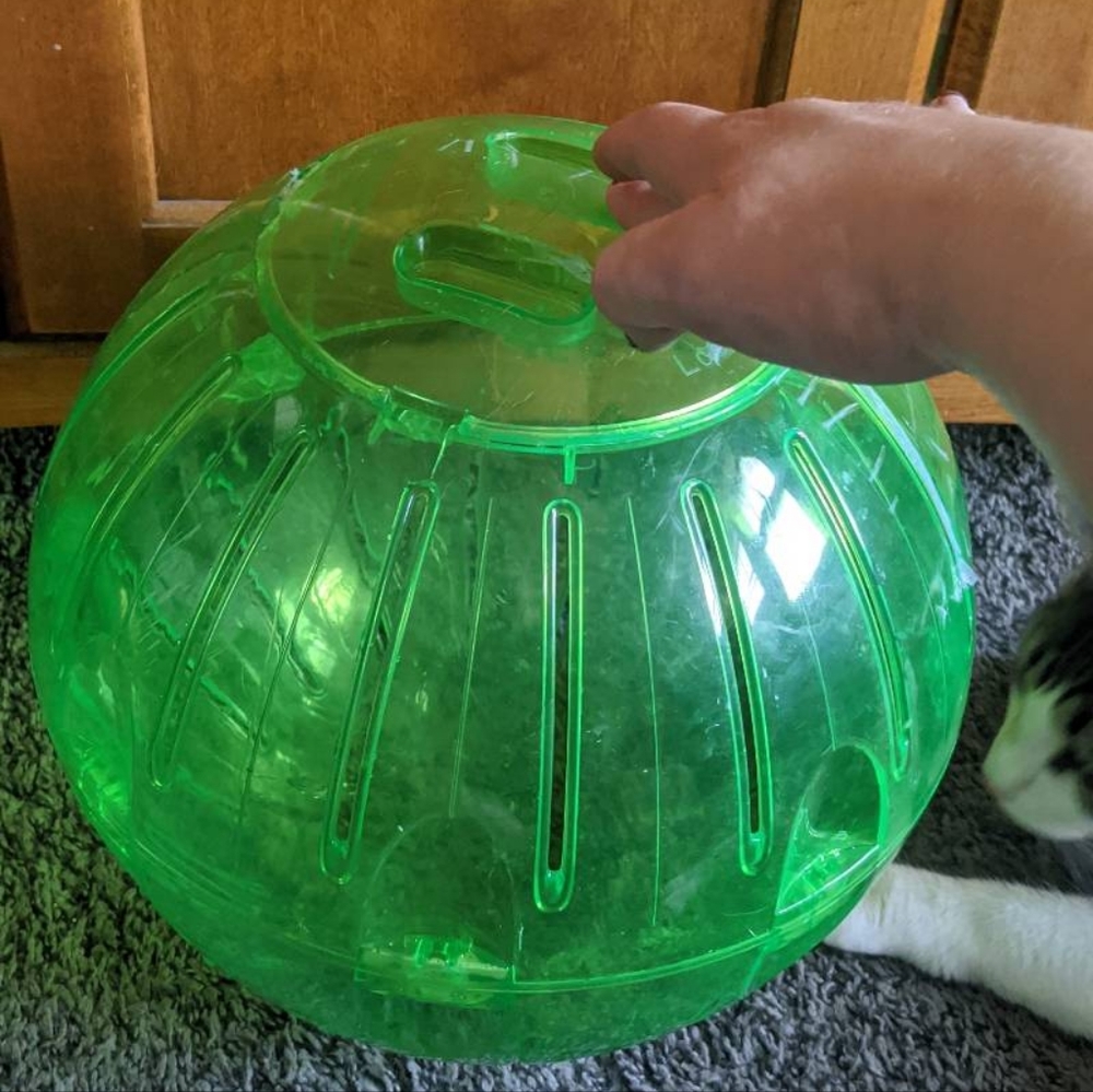 Rodent Exercise ball